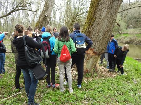 7. april, mednarodni dan bobra in Dan za spremembe 11